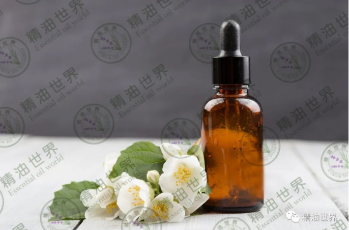 itb8888通博(中国区)官方网站