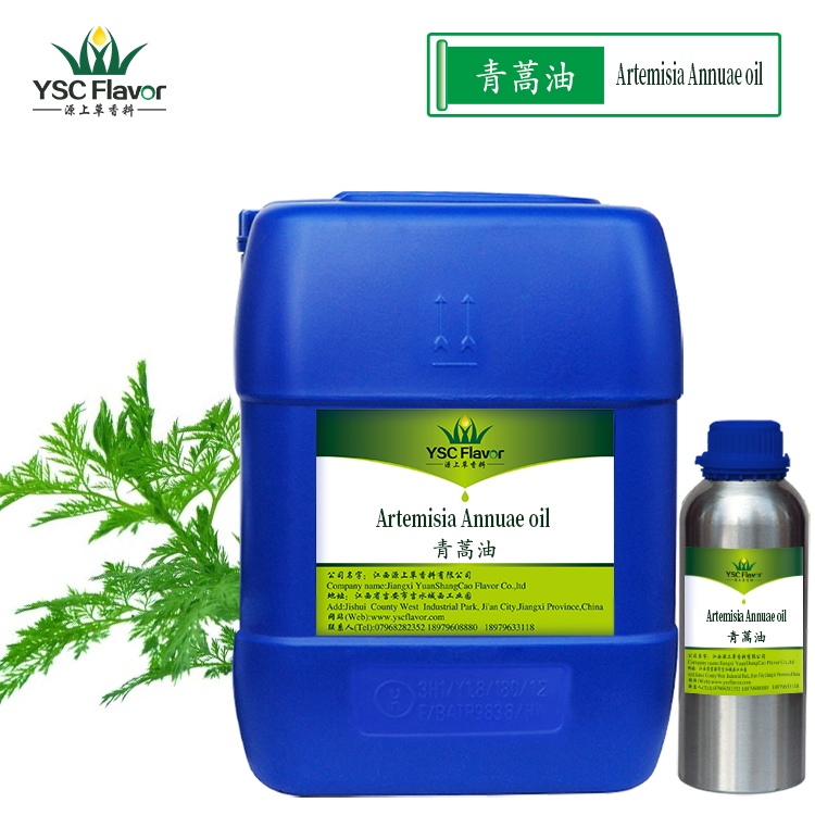 厂家直销 青蒿精油 青蒿油 茵陈蒿油 自然植物提取